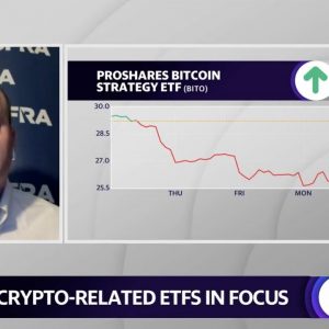 Bitcoin: ‘Investors have stayed loyal to this risk-on asset,’ CFRA head of ETF research says